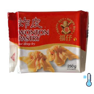 HB WONTON PASTRY 250G