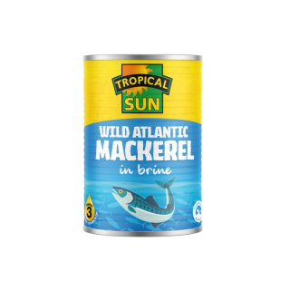 TS WILD MACKEREL IN BRINE 400G