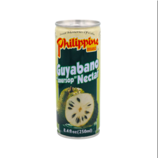 PB GUYABANO NECTAR JUICE 250ML